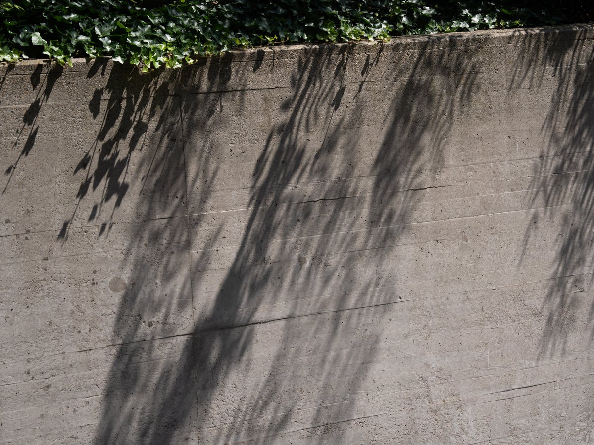 Nachhaltigkeits-Portfolios