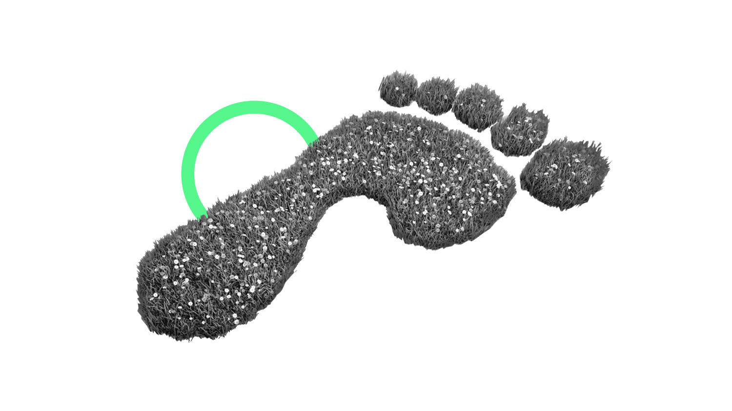 nachhaltigkeits_portfolios_transparent