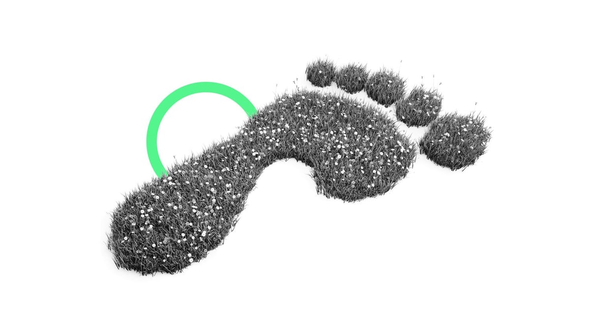 Sustainability portfolios